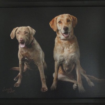 Profile Picture of Julian O'Bryant (@julian_obryant) on Twitter