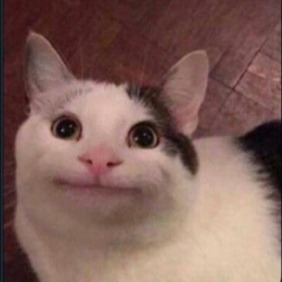 Profile Picture of Gabby Heggem (@itsmegabbyd) on Poshmark