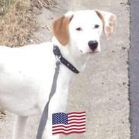 Profile Picture of Jim Criswell (@jim-criswell-4) on Quora