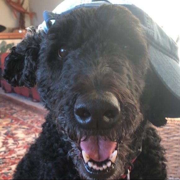 Profile Picture of Anne Jurgensen (@annej2019) on Poshmark