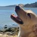 Profile Picture of Bitsy Hall (@bitsy.hall) on Facebook