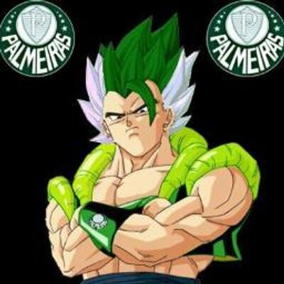 Profile Picture of Ray Da Silva Camargo (@ray_kaua) on Twitter