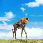 Profile Picture of O M P H R O Y (@omphroy) on Instagram