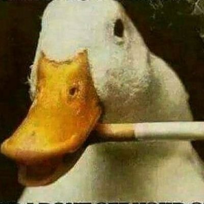 Profile Picture of Dylan Hardy (@DylanHa06210512) on Twitter