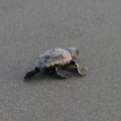 Profile Picture of Jeremy Houghton (@lightandlat) on Twitter