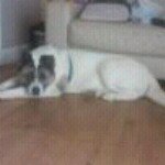 Profile Picture of Wayne Coco Coney (@cococoney) on Instagram
