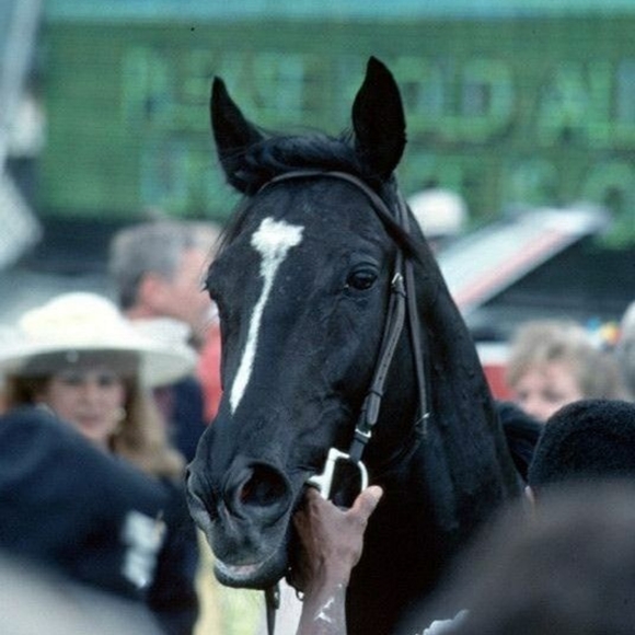 Profile Picture of Laura Patronis (@glamnglitz24) on Poshmark