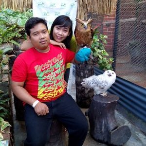 Profile Picture of ANDY Semar DWI (@andy_Semar) on Twitter