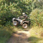 Profile Picture of Christian Levinsky (@onafitnessmission) on Instagram