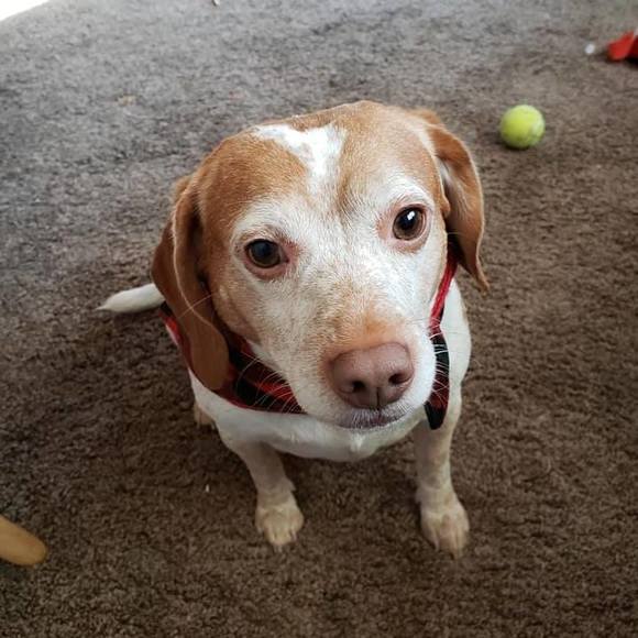 Sandy Rasmussen - Poshmark Profile Picture of Sandy Rasmussen (@sandra196999) on Poshmark