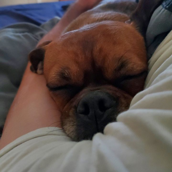 Profile Picture of Richard Gantz (@cxrichierich) on Tiktok