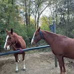 Profile Picture of Grady Andrews (@Grady-Andrews) on Facebook