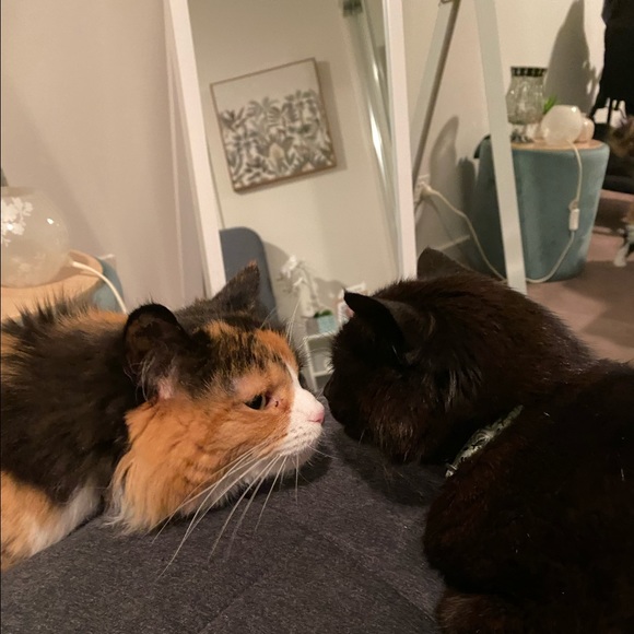 Profile Picture of Eliza Betta (@missmalta1) on Poshmark