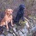 Profile Picture of Steven Mckelvey (@mckelvey0706) on Pinterest