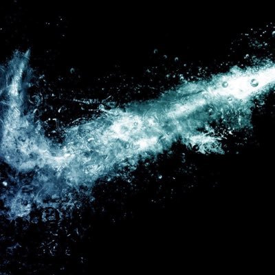 Profile Picture of Chase Barlow (@bariowy0) on Twitter