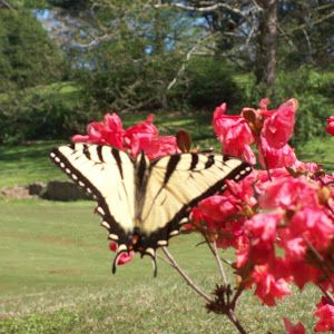 Profile Picture of robinfel (@robinfel) on Tiktok