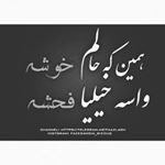 Profile Picture of دنیامی خودش میدونه با کی ام ؟ (@wolf__tadrez__) on Instagram