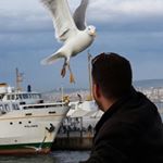 Profile Picture of Saif Ali Albaker (@saifalialbaker) on Instagram