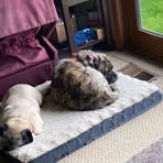 Profile Picture of Joseph Meringolo (@Joseph-Meringolo) on Facebook