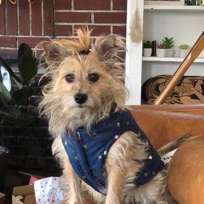 Profile Picture of Taylor Mcwilliams (@TaylorMcwilli13) on Twitter