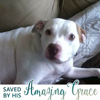 Profile Picture of Mistie Leigh Doyle (@mistieleigh.doyle) on Facebook