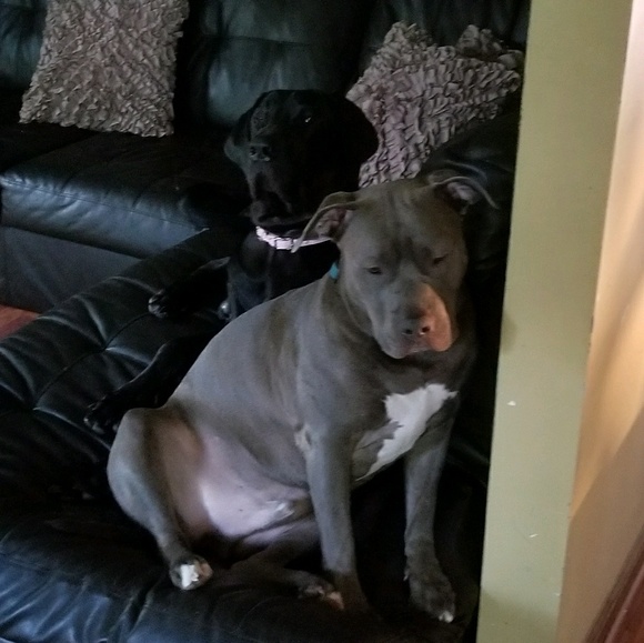 Profile Picture of Alex Fontes (@alexfontes) on Poshmark