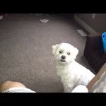 Profile Picture of mresler (@mresler) on Instagram