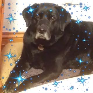 Profile Picture of June Gleaves (@june.gleaves.7) on Facebook