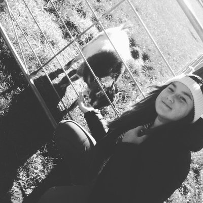 Bailey Wilkins - Twitter Profile Picture of Bailey Wilkins (@BaileyBTS09) on Twitter