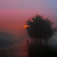 Profile Picture of Tyler Mullinax (@tyler-mullinax-7) on Quora