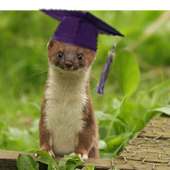 Profile Picture of Thomas W. Flock (@TheWhatFlock) on Twitter