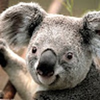 Profile Picture of Alberto Mesa Hernández (@alberto-mesa-hernández) on Quora