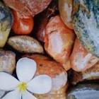 Suzy Lausin (@suzyq_14)... - Tiktok Profile Picture of   Suzy Lausin (@suzyq_14)... (@suzyq_14) on Tiktok