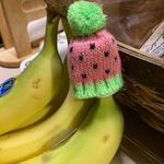 Profile Picture of Janet Schock (@janet.schock) on Instagram