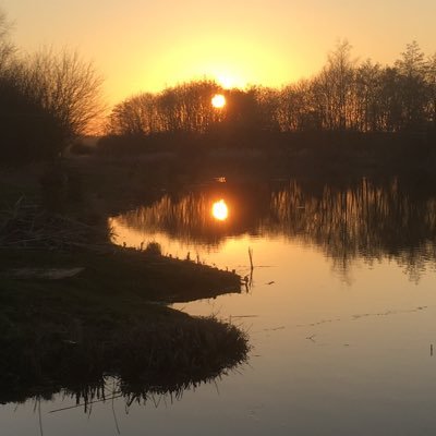 Profile Picture of Kate Macintyre (@macintyre_kate) on Twitter