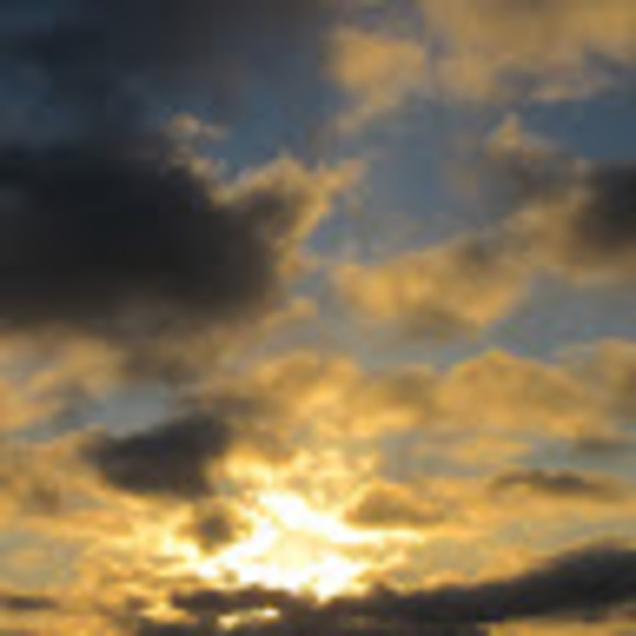 Profile Picture of Natalee Dibos (@nataleed724) on Poshmark