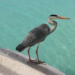 Profile Picture of David Kral (@DavidKral17) on Twitter