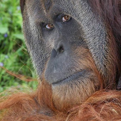 Profile Picture of Kyle Jacobsen (@KyleJacobsen) on Twitter