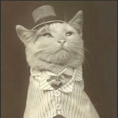 Profile Picture of Matt Barbour (@mattbarbourMB) on Twitter