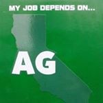 Profile Picture of Noel Brooks (@brooks.noel) on Instagram