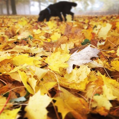 Profile Picture of CeriC (@cerichard) on Twitter
