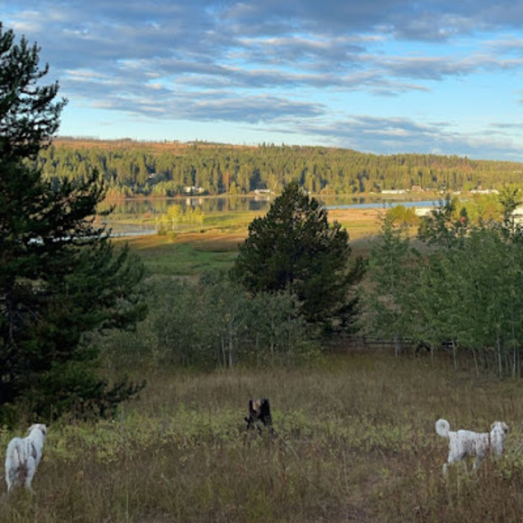 Profile Picture of Jody Finnigan (@jetbucsis) on Poshmark