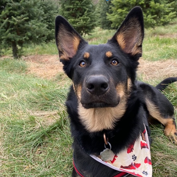 Brittany Kewley - Poshmark Profile Picture of Brittany Kewley (@brittanykewley) on Poshmark