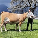 Profile Picture of Andreas Ritzer (@ritza_andi) on Instagram