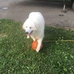 Profile Picture of Gabe Roberts (@cowboy728) on Instagram