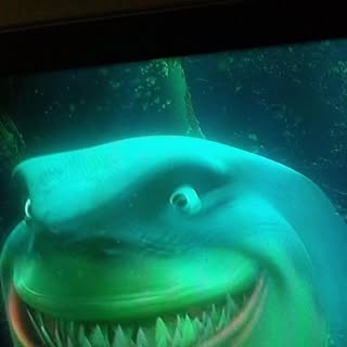 Profile Picture of Lovgren Paul (@lovgren.paul) on Instagram