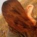 Profile Picture of Julia Nemes (@juliajulia.j.9) on Facebook