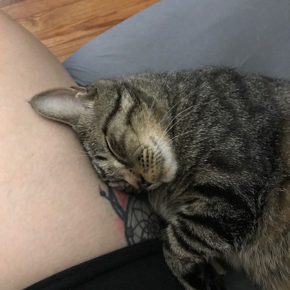 Kaity Losey - Poshmark Profile Picture of Kaity Losey (@loseyk923) on Poshmark