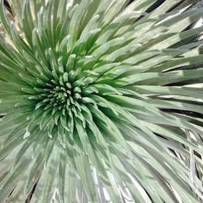 Profile Picture of Heidi Walters (@HeidiWalters) on Twitter