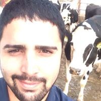 Profile Picture of Emmanuel Jose Torrado (@emmanuel-jose-torrado) on Quora